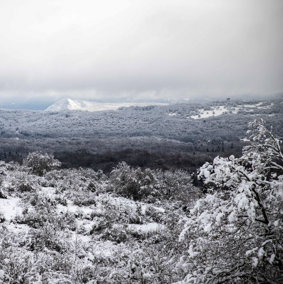 Les endroits à voir en hiver dans la région de Bourg-en-Bresse